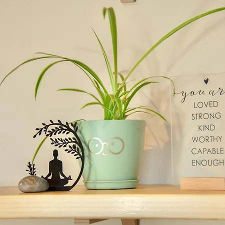 Vitaflow Logies Met Sauna コクセッド